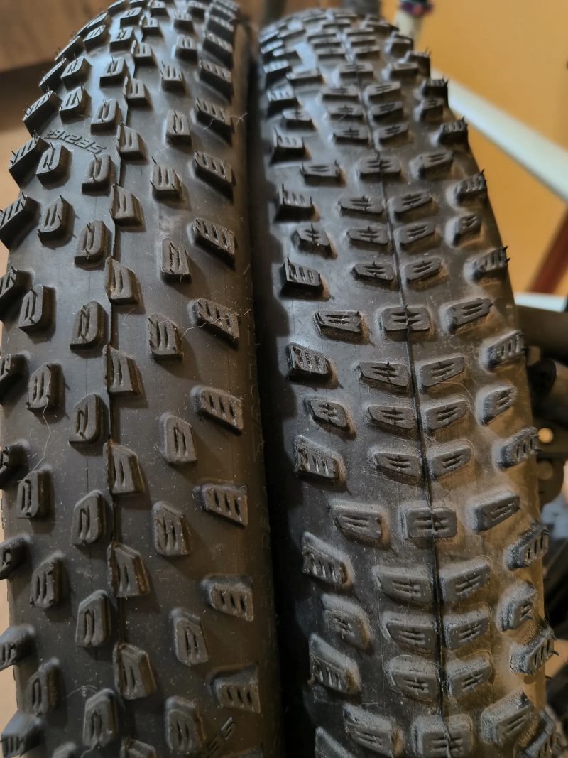 Schwalbe
