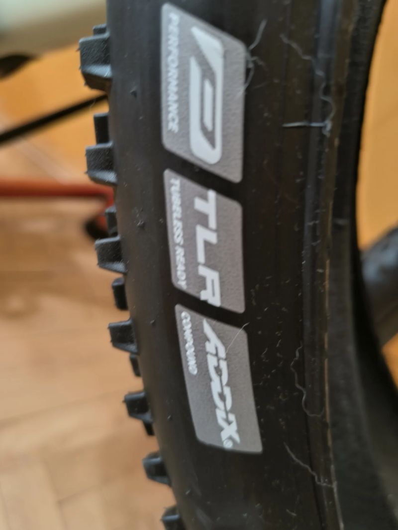 Schwalbe