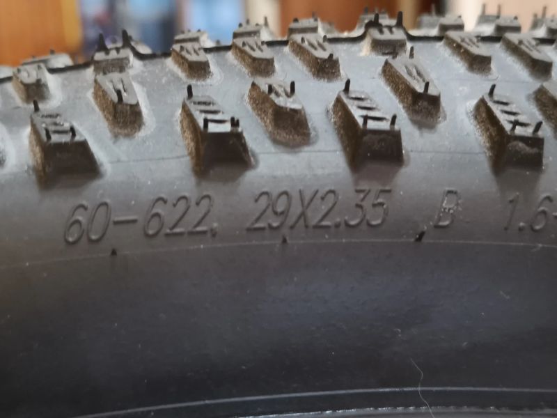 Schwalbe