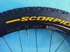 MTB kola JAVAX/DT SWISS