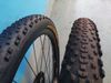 MTB kola JAVAX/DT SWISS