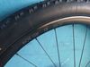 MTB kola JAVAX/DT SWISS