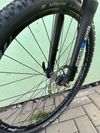 Pells Thorr Pro