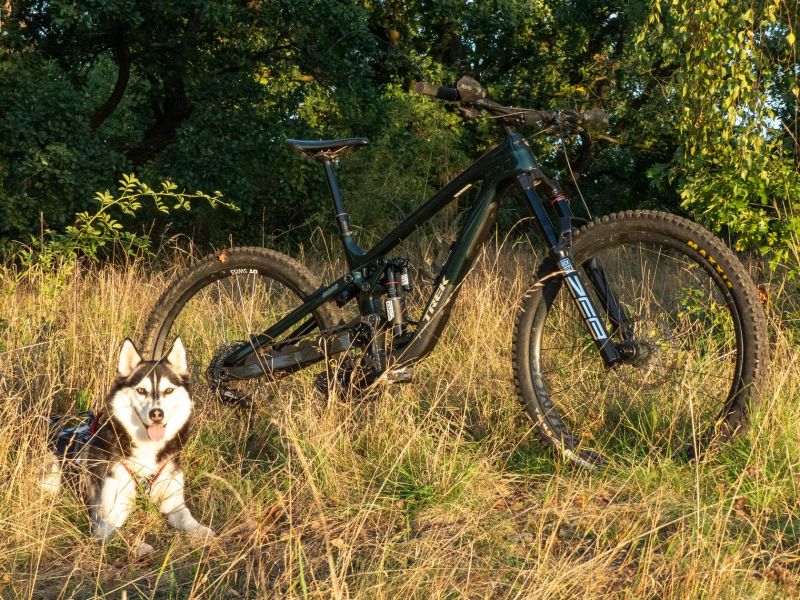 Trek Slash 9.8 XT gen. 6 - úplně nový rám! full 29" vel. M/L