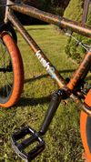 Mafia Kush 2+ 20" Freestyle BMX
