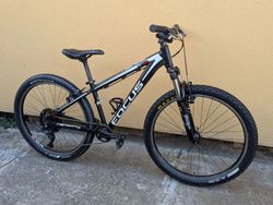 dětské kolo Focus Raven Rookie 26" XS