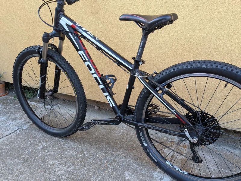 dětské kolo Focus Raven Rookie 26" XS