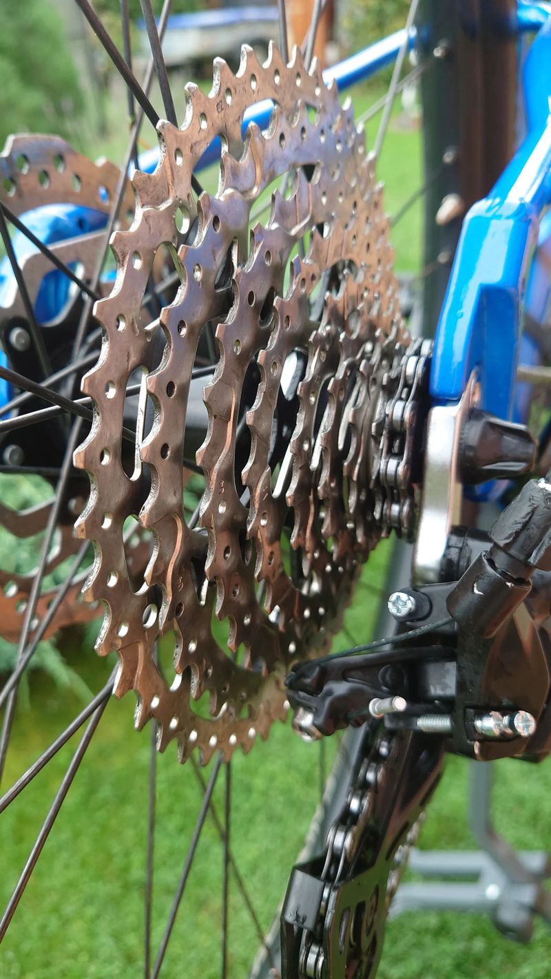 Pells Juniorské kolo PELLS Razzer Jr 2 Blue