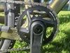 Pells RAW 2 2025