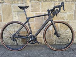 Canyon Endurance CF 7