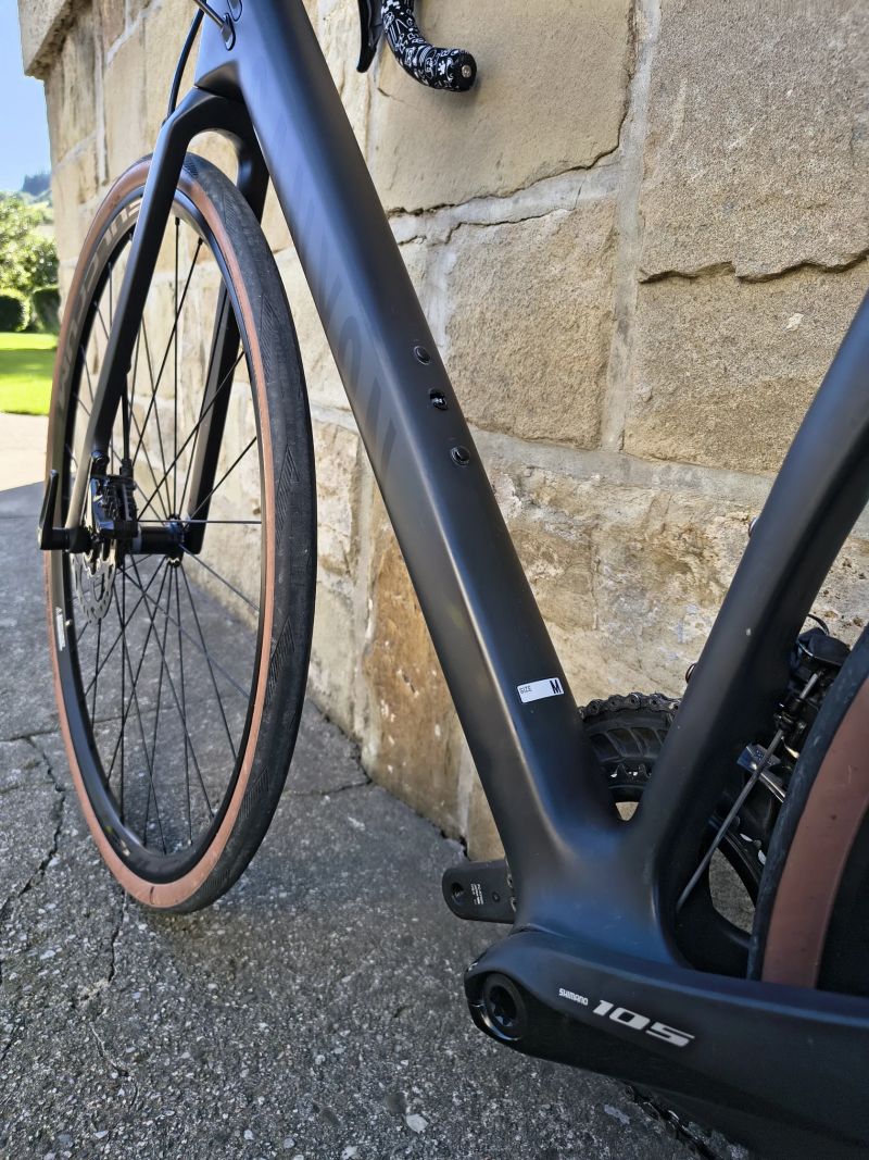 Canyon Endurance CF 7