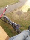 Scott genius 730 2015