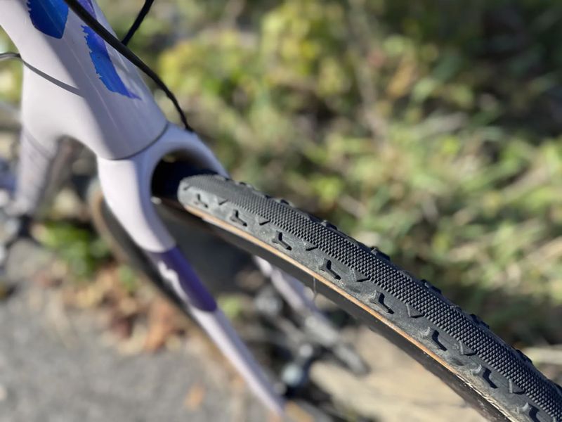 Specialized Roubaix Comp Carbon 2021