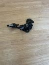 Sram nx 12s