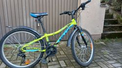 Kellys Kitter 30