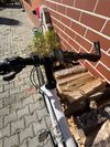 Specialized Sirrus Comp Carbon
