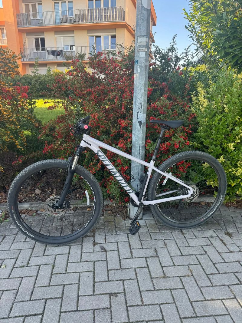 Specialized Rockhopper 29 Sport (model 2021)