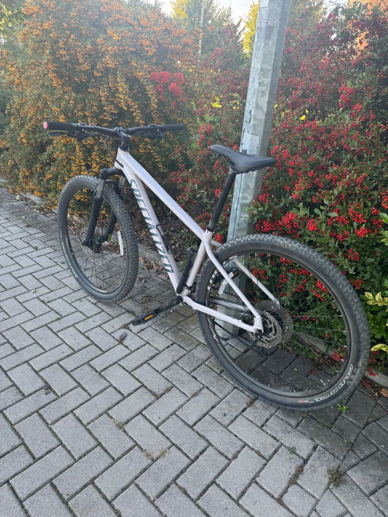 Specialized Rockhopper 29 Sport (model 2021)