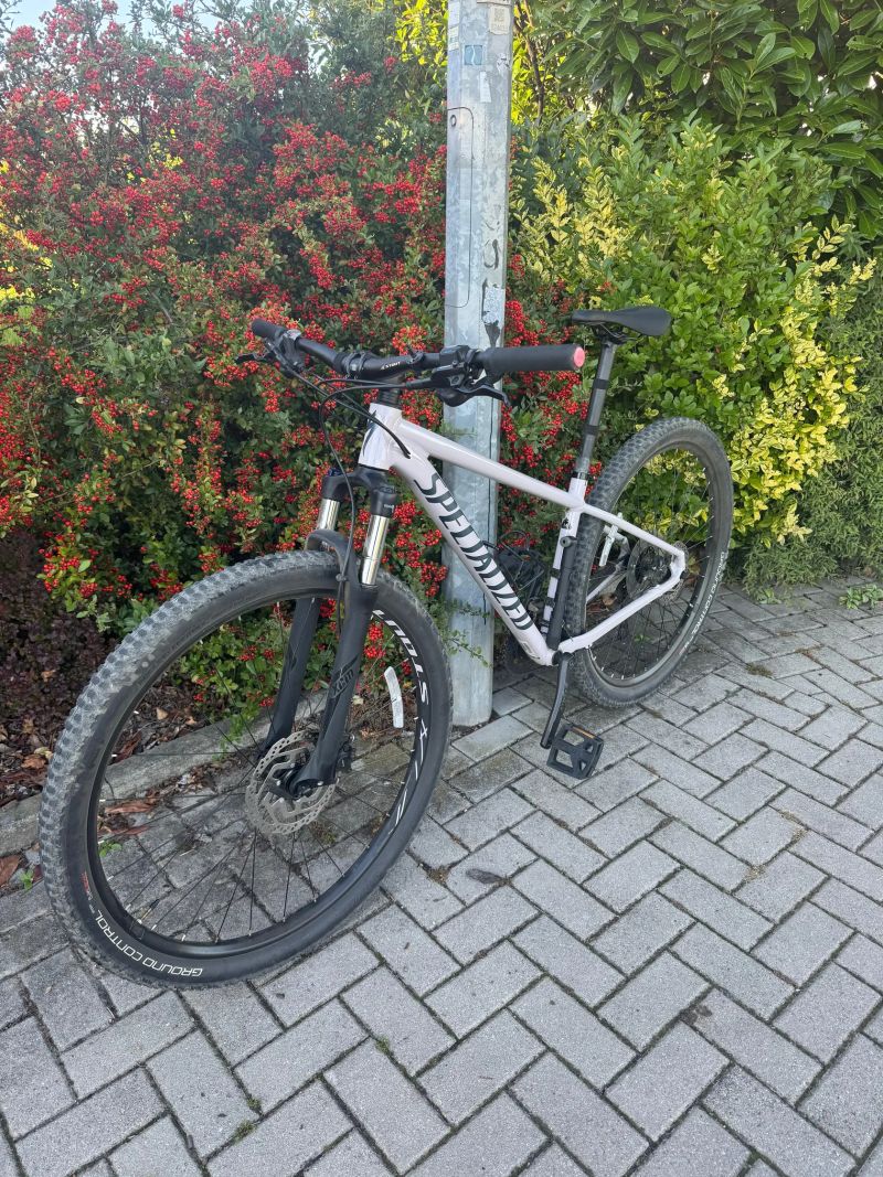 Specialized Rockhopper 29 Sport (model 2021)