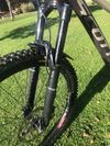 Scott Ransom 920L Mullet