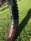 Scott Ransom 920L Mullet