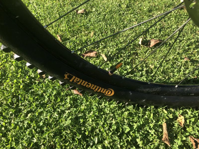 Scott Ransom 920L Mullet