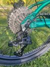 Rascal Wild 24”