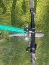 Rascal Wild 24”