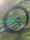 Rascal Wild 24”