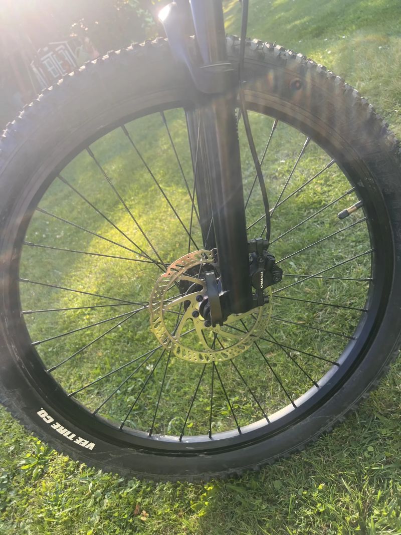 Rascal Wild 24”