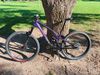 GT Sensor carbon