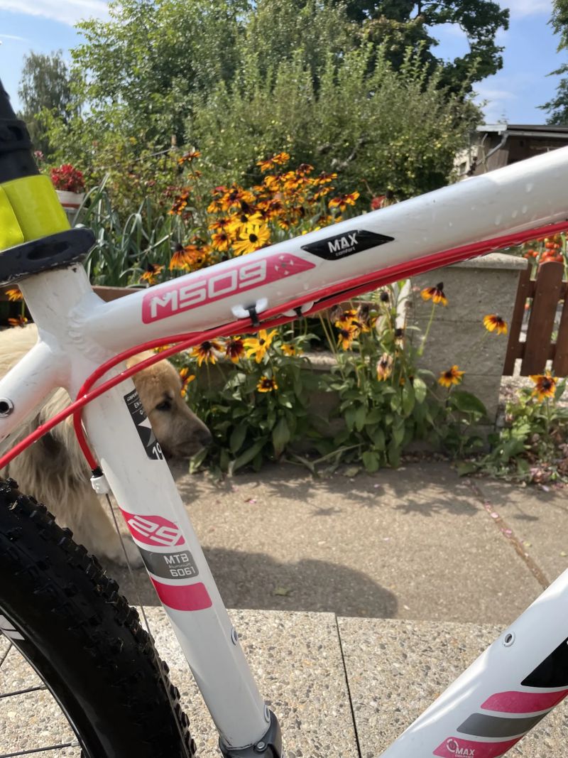 Maxbike