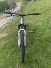 CTM Dirtking