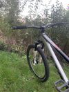 CTM Dirtking