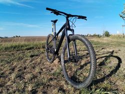 GT avalanche expert 2022