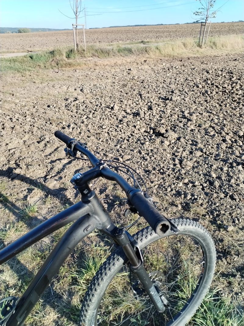 GT avalanche expert 2022