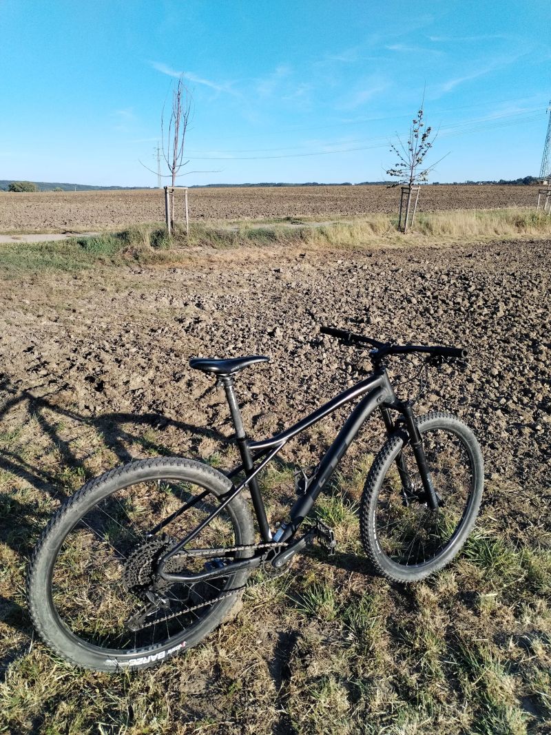 GT avalanche expert 2022