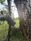 Trek celoodpruzene ram S