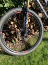 Santa Cruz Tallboy C