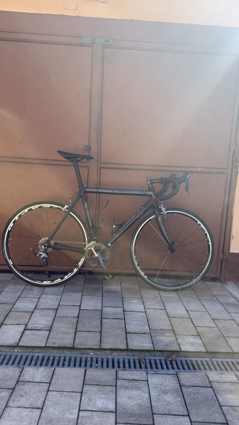 Spyder
