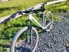 Canyon Exceed CF