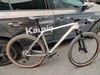 Canyon Exceed CF