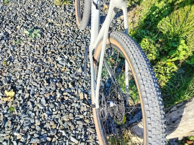Canyon Exceed CF