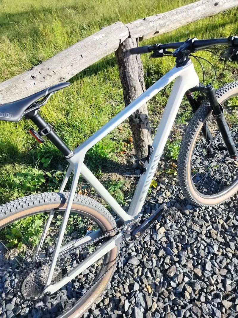 Canyon Exceed CF