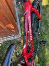 Orbea MX 24 Team