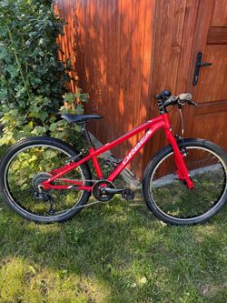 Orbea MX 24 Team