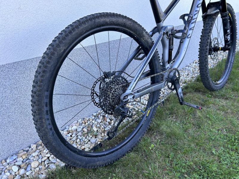 Canyon Neuron Al 7.0