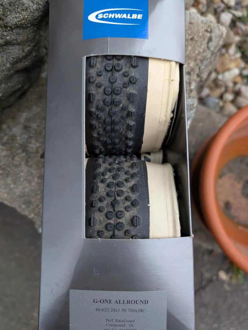 Schwalbe