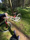 Commencal Meta AM 29