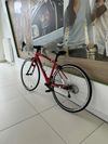 Specialized Allez